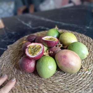 Passiflora (Çarkıfelek meyvesi)