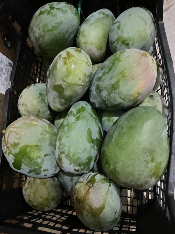 Mango
